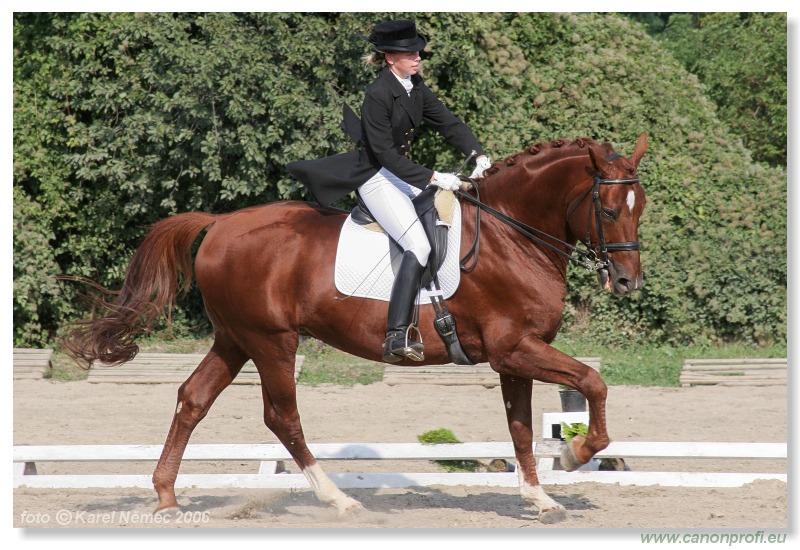 Drezúra - Dressage 2006