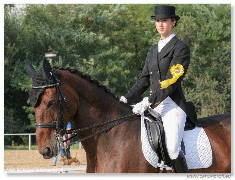 Drezúra - Dressage 2006