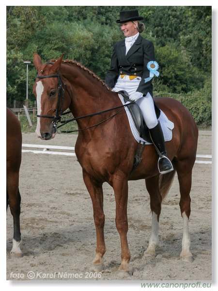 Drezúra - Dressage 2006