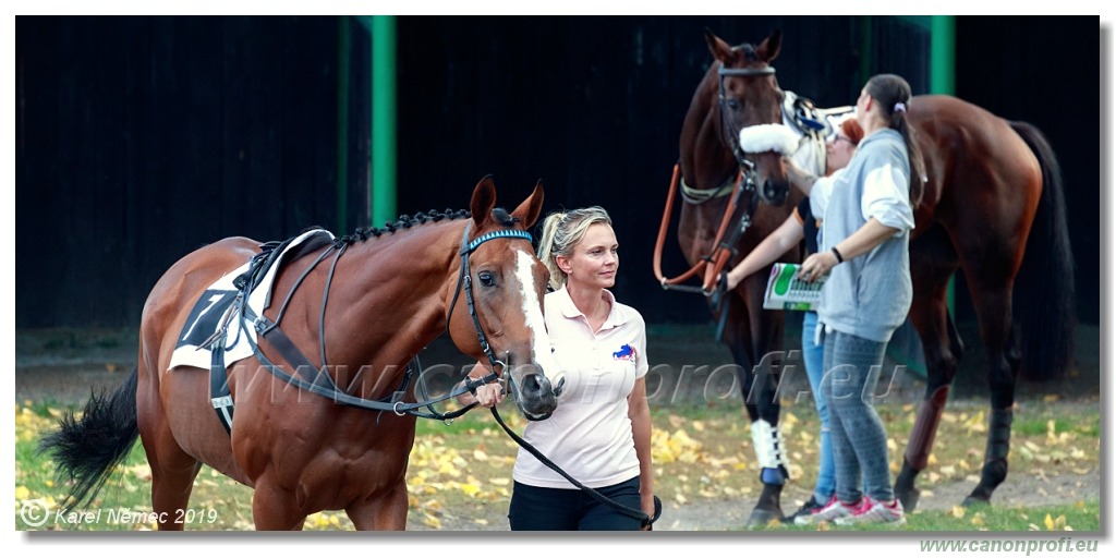 Bratislava - 29. septembra 2019