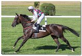 6. dostihy -29. Cena Mysa 