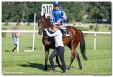 7. dostihy -29. Zlat pohr spolonosti RIGIPS 