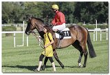 7. dostihy -29. Zlat pohr spolonosti RIGIPS 
