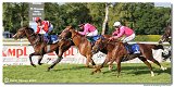 8. dostihy -30. Slovensk derby spolonosti MPL 