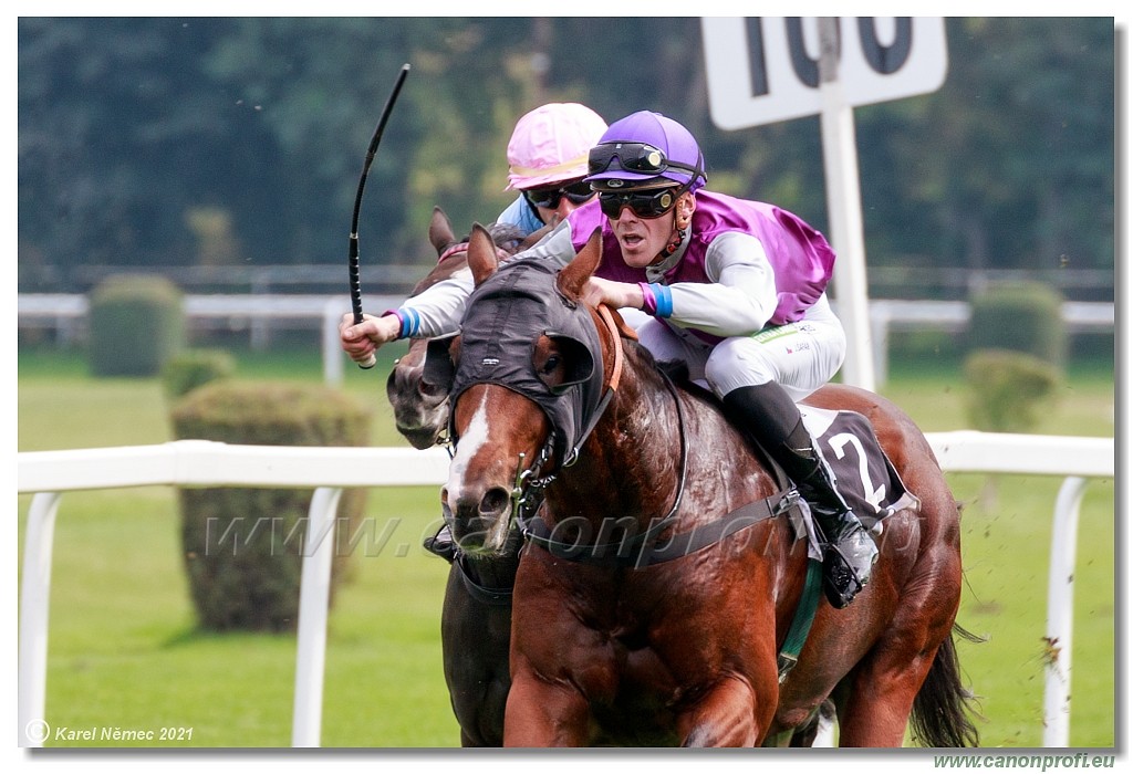 Bratislava  -  26. 9. 2021 