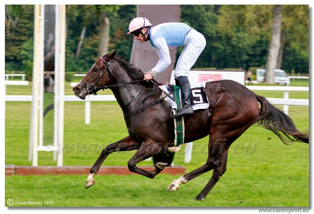 Bratislava  -  26. 9. 2021 