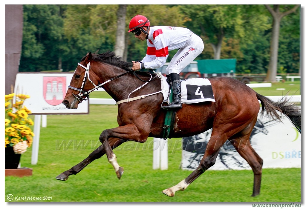 Bratislava  -  26. 9. 2021 