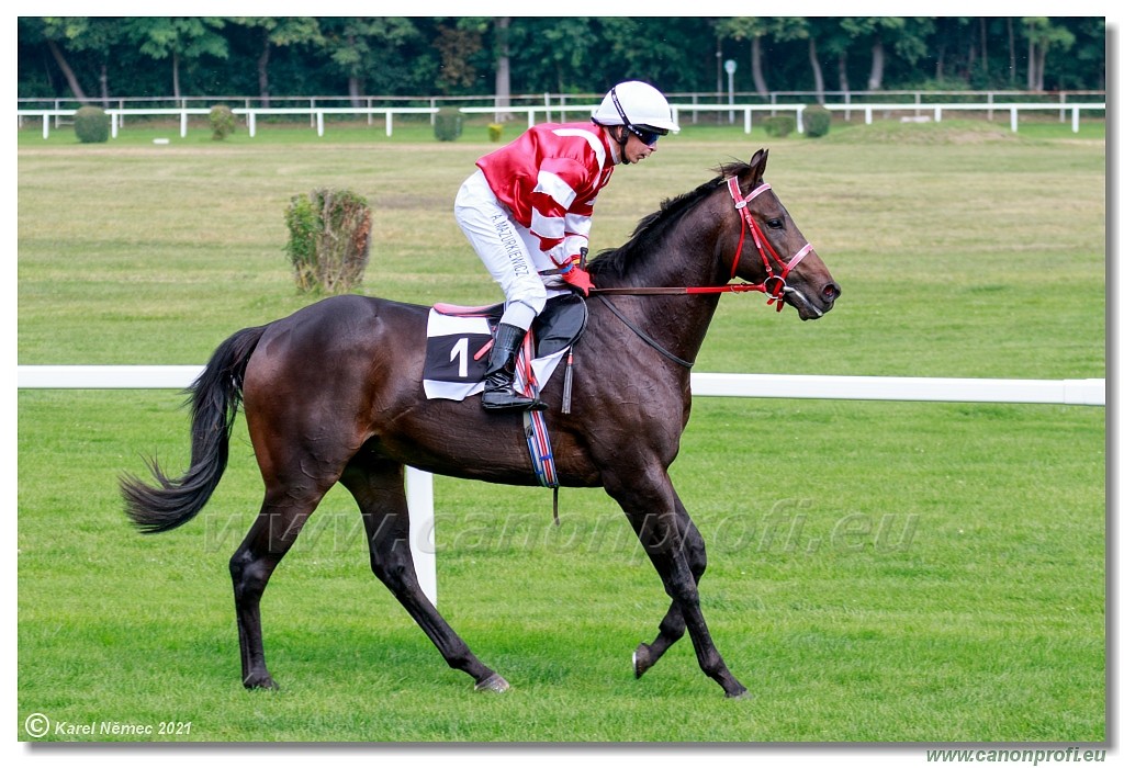 Bratislava  -  26. 9. 2021 