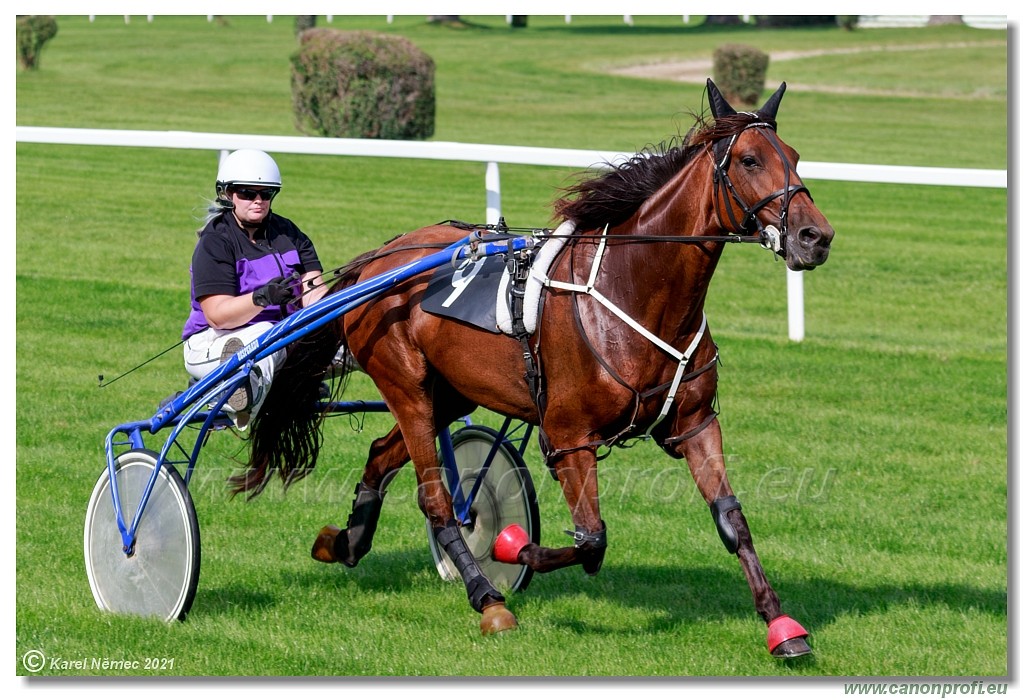 Bratislava  -  26. 9. 2021 