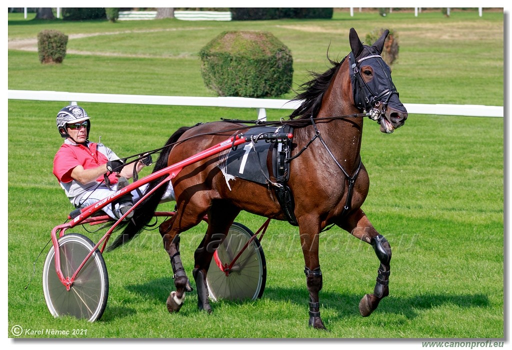 Bratislava  -  26. 9. 2021 