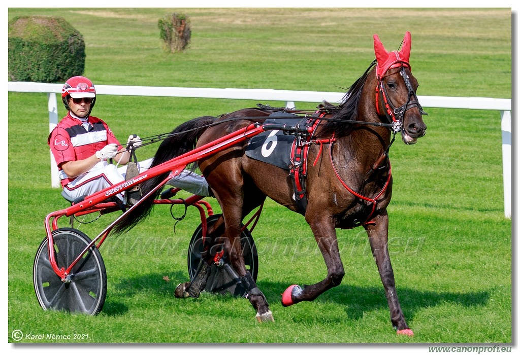 Bratislava  -  26. 9. 2021 