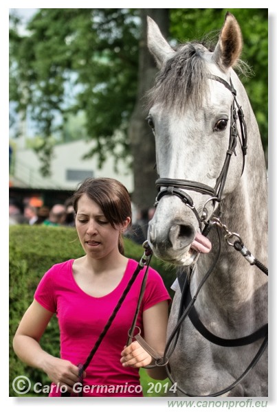 Bratislava - 20. apríl 2014 