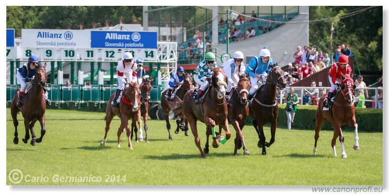 Bratislava - 25. mája 2014 