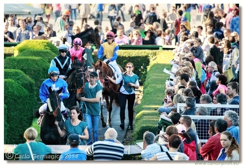 Bratislava - 28. septembra 2014 