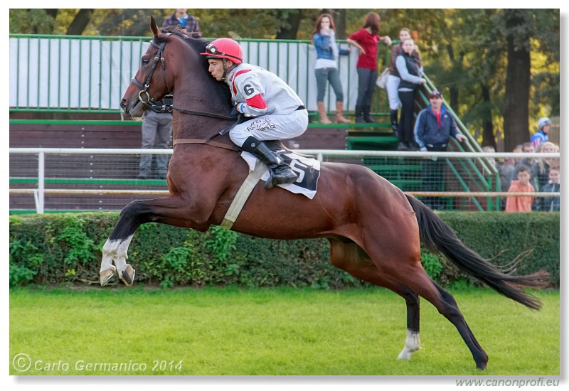 Bratislava - 05. oktobra 2014 