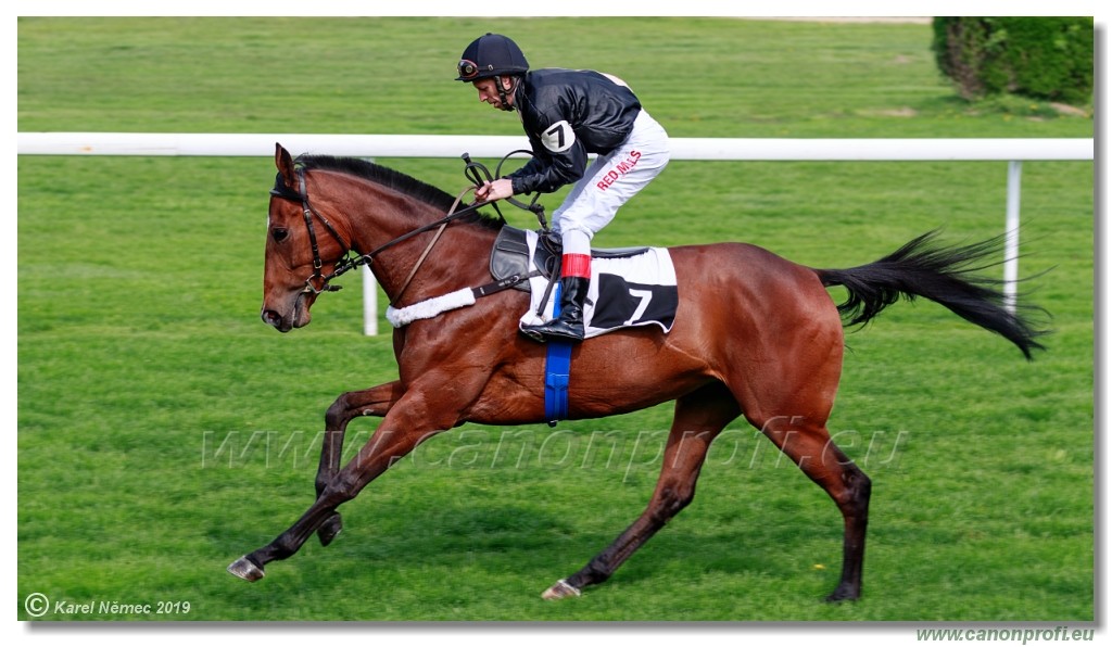 Bratislava - 14. aprl 2019 