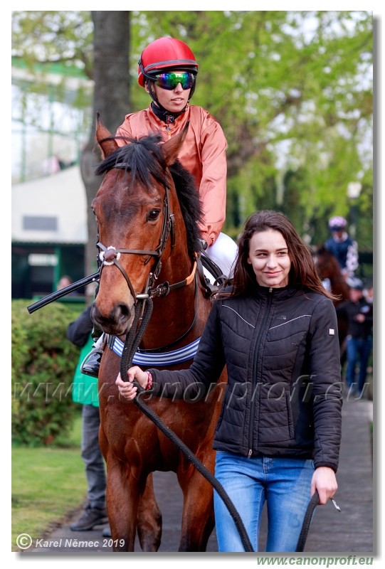 Bratislava - 14. aprl 2019 