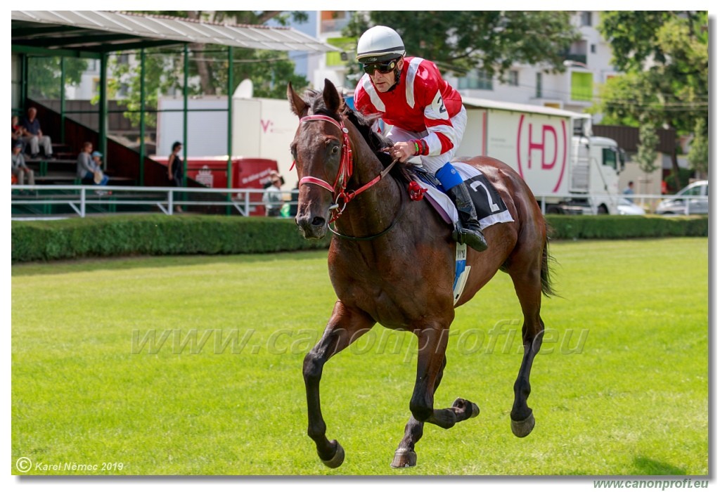 Bratislava - 14. jl 2019 