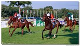 dostih . 8 -27. Slovensk derby 