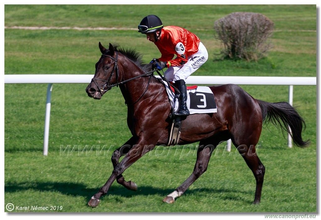 Bratislava - 15. september 2019 