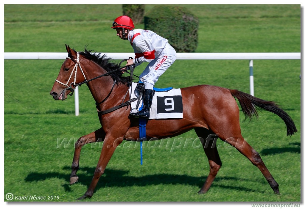 Bratislava - 15. september 2019 