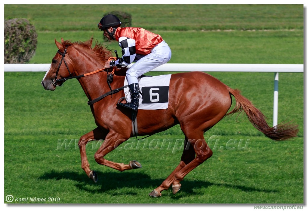 Bratislava - 15. september 2019 