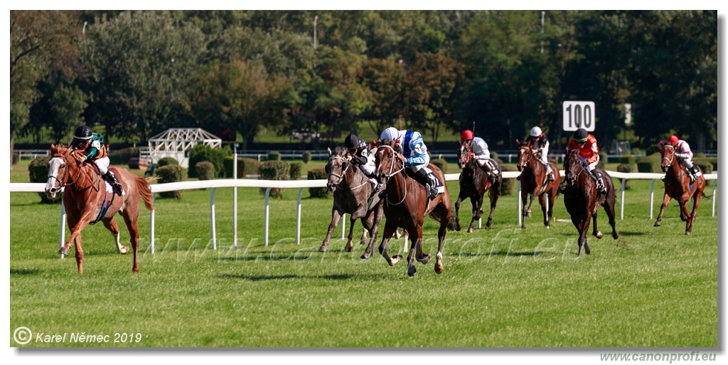 Bratislava - 15. september 2019 