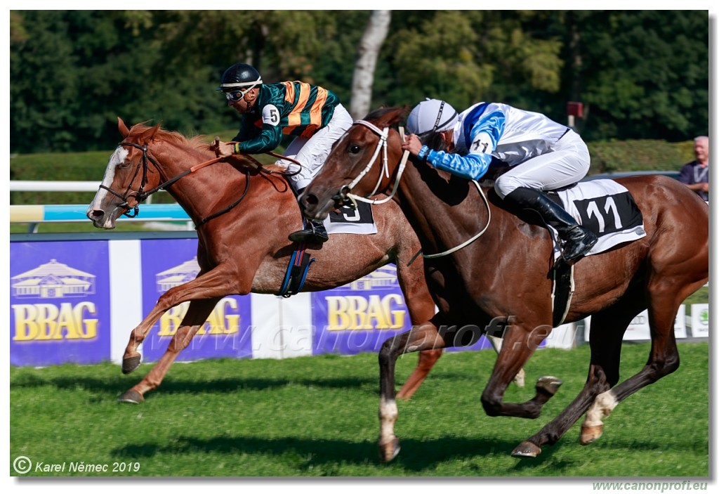 Bratislava - 15. september 2019 