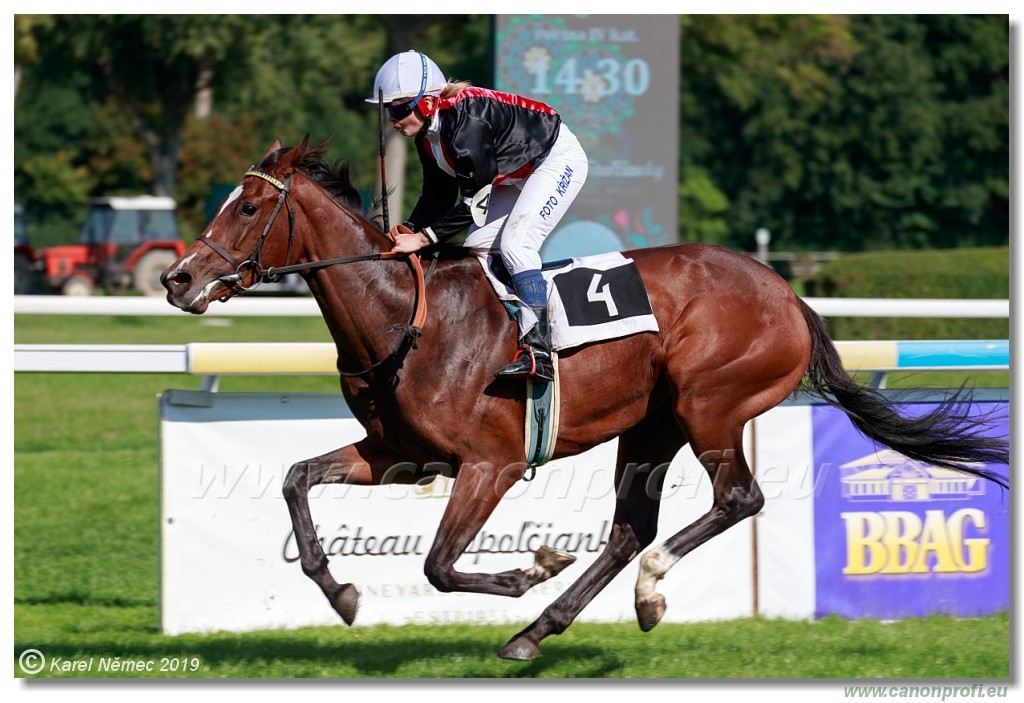 Bratislava - 15. september 2019 