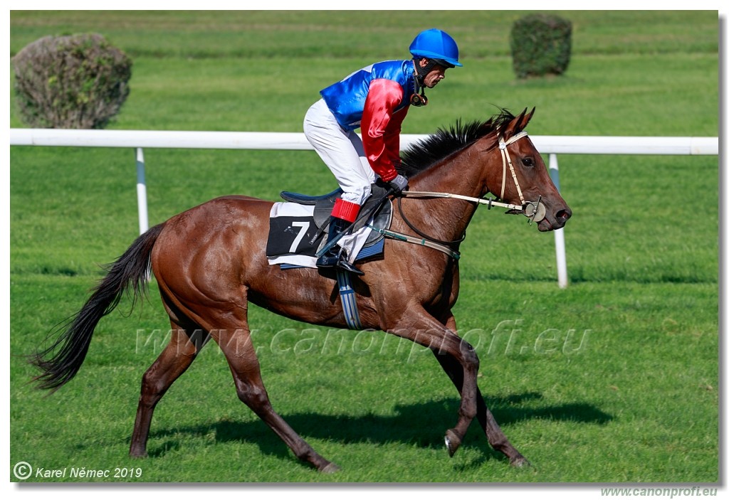 Bratislava - 15. september 2019 