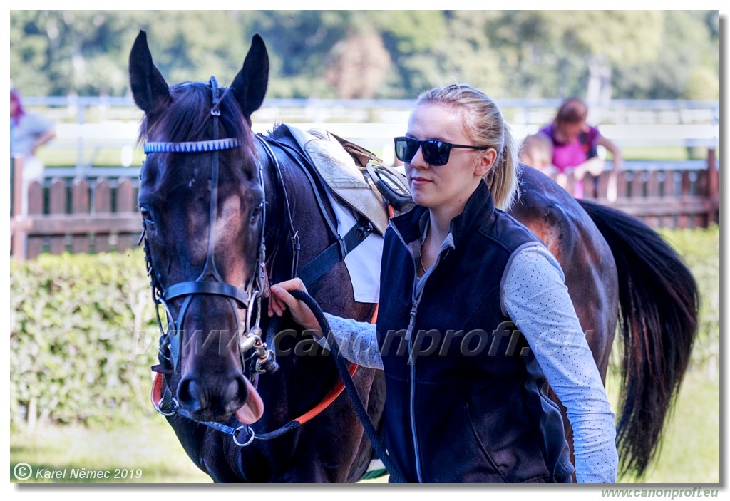 Bratislava - 15. september 2019 