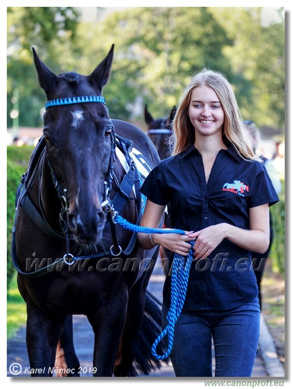 Bratislava - 15. september 2019 