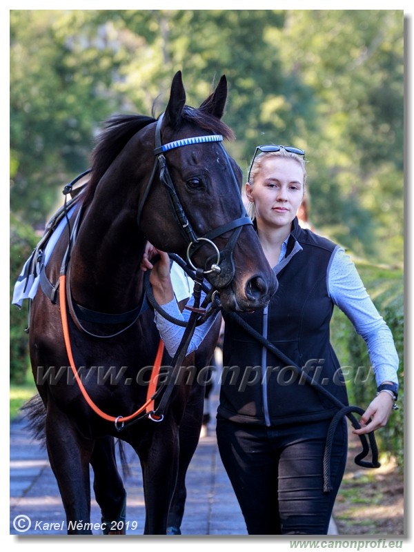 Bratislava - 15. september 2019 