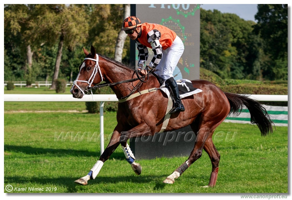 Bratislava - 29. september 2019 