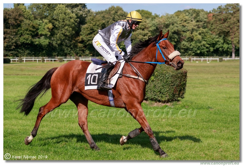 Bratislava - 29. september 2019 