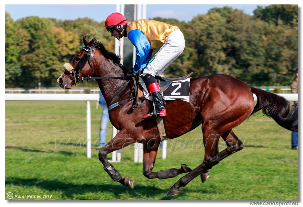 Bratislava - 20. oktber 2019 