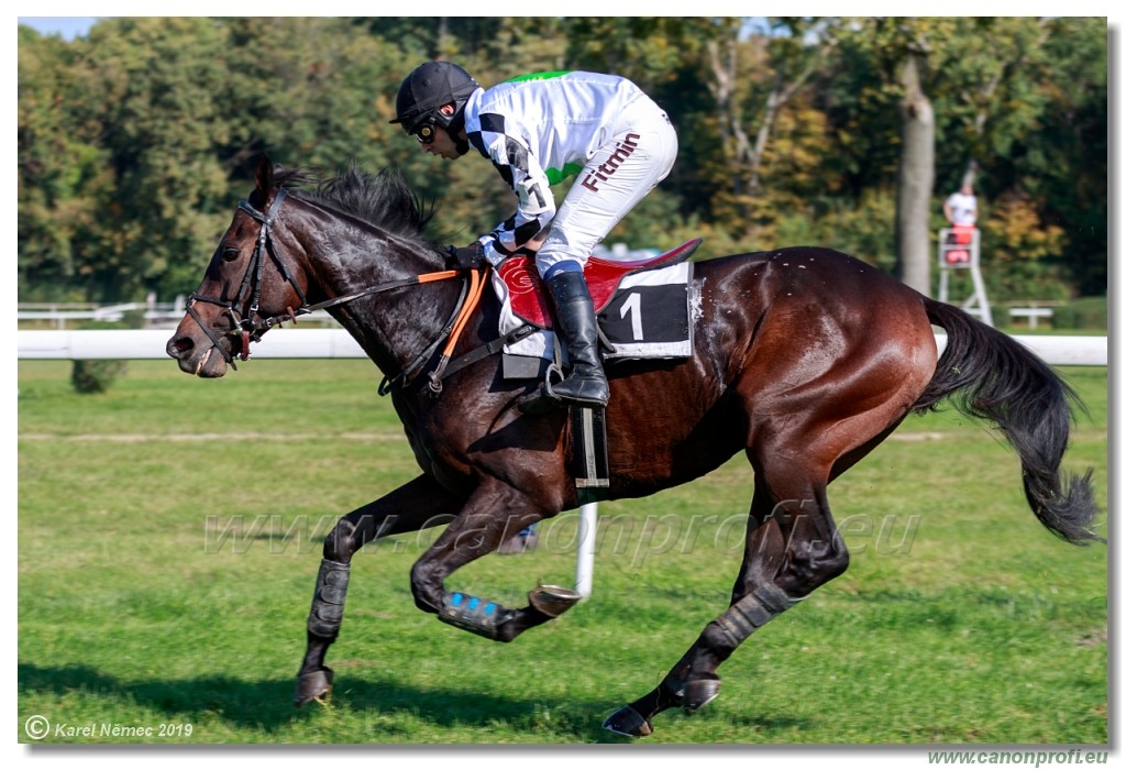 Bratislava - 20. oktber 2019 