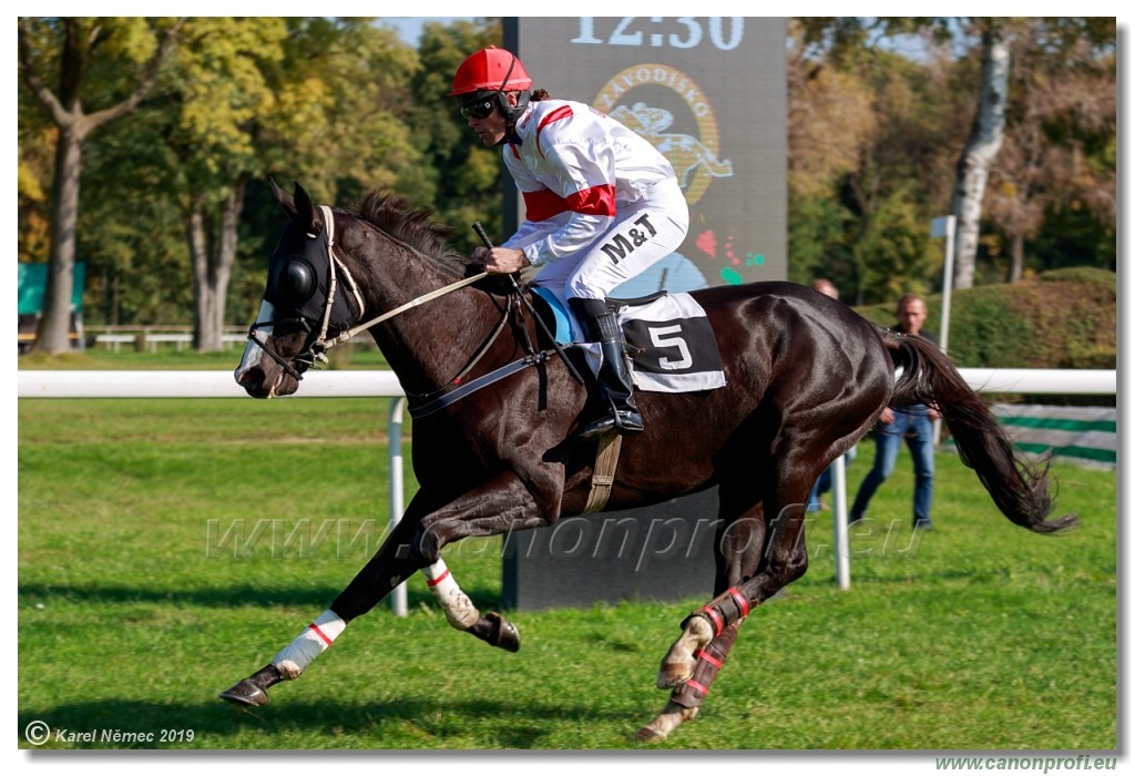 Bratislava - 20. oktber 2019 