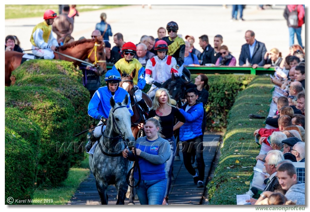 Bratislava - 20. oktber 2019 