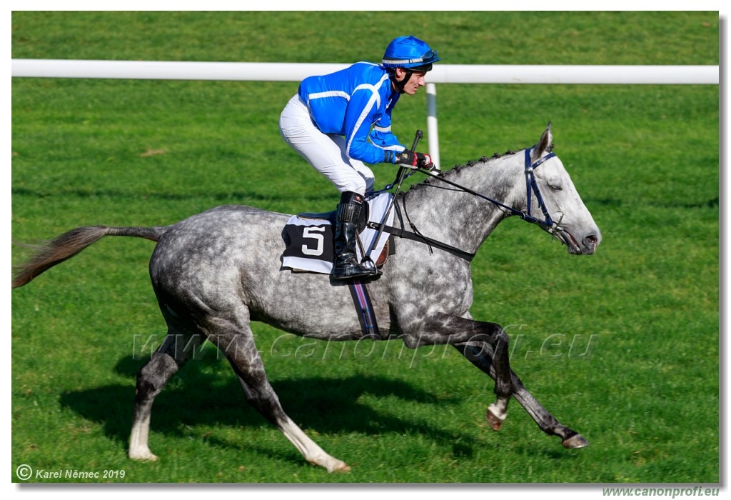 Bratislava - 20. oktber 2019 