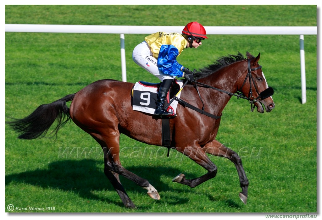 Bratislava - 20. oktber 2019 