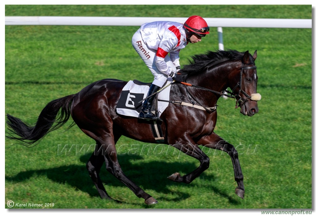 Bratislava - 20. oktber 2019 