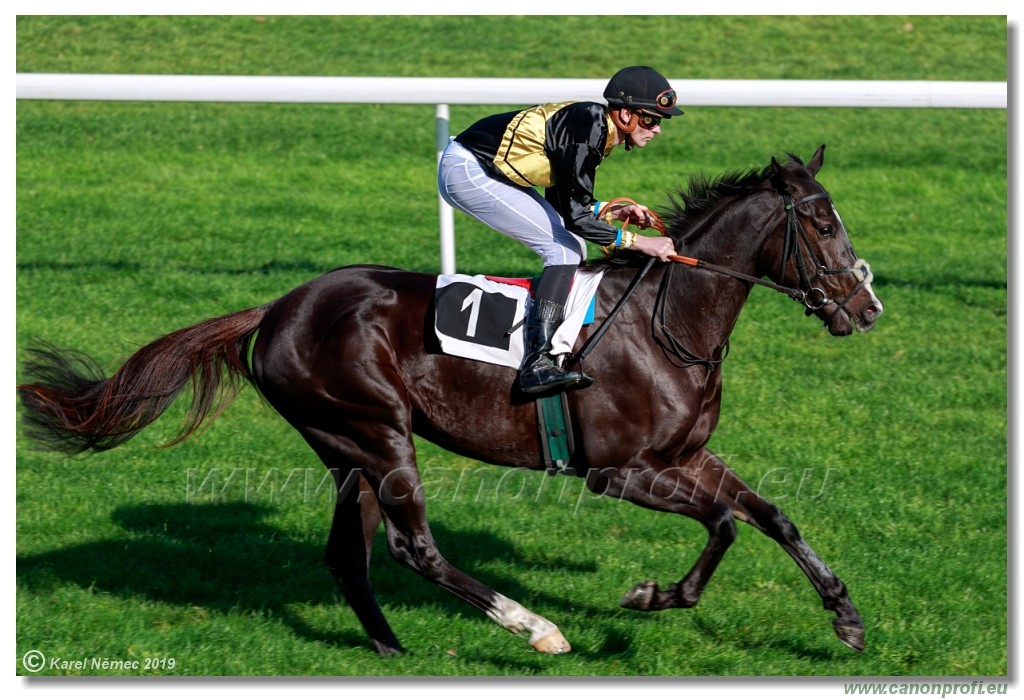 Bratislava - 20. oktber 2019 