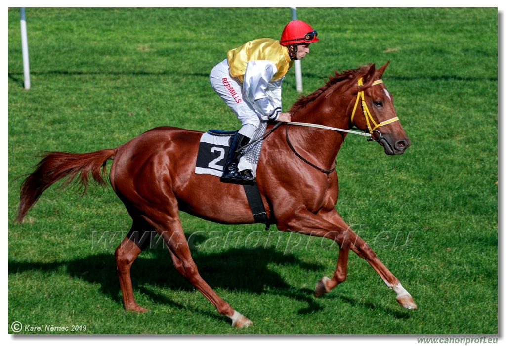 Bratislava - 20. oktber 2019 