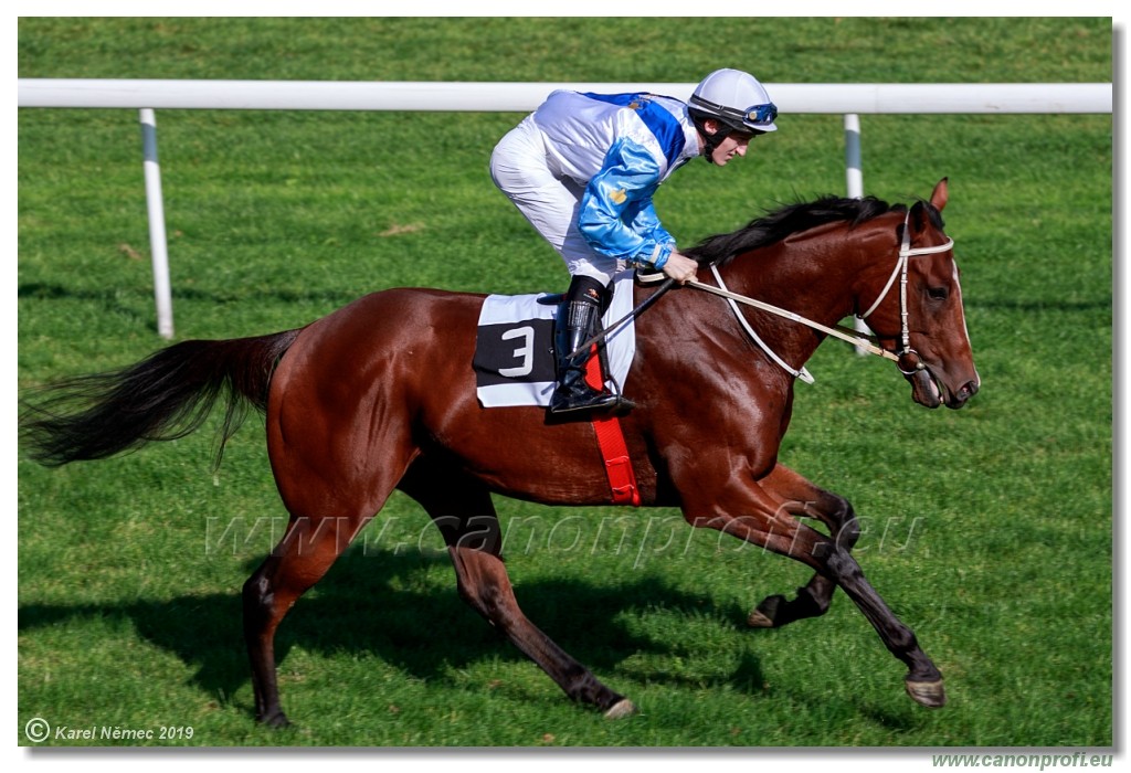 Bratislava - 20. oktber 2019 