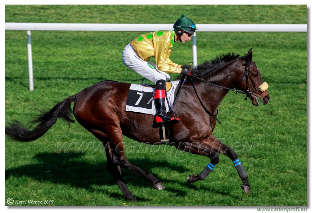 Bratislava - 20. oktber 2019 