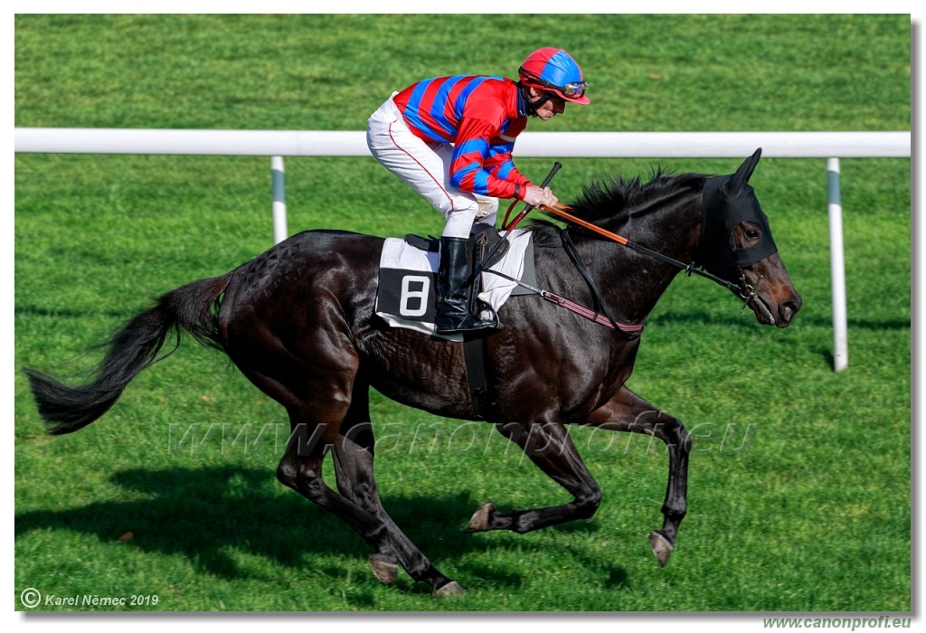 Bratislava - 20. oktber 2019 