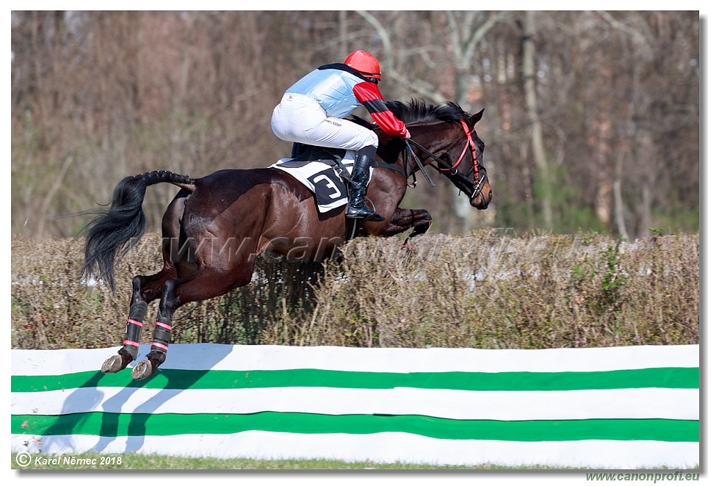 Bratislava - 8. aprl 2018 