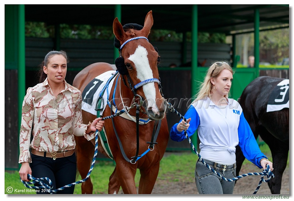 Bratislava - 15. aprl 2018 