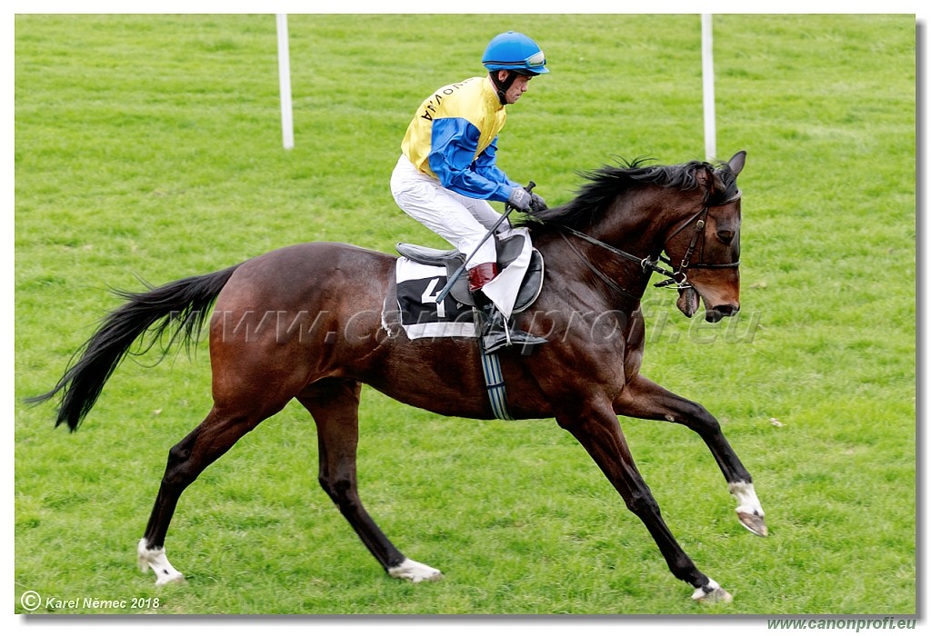 Bratislava - 15. aprl 2018 